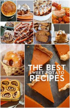 
                        
                            Forget Pumpkin, Try These Amazing Sweet Potato Recipes
                        
                    