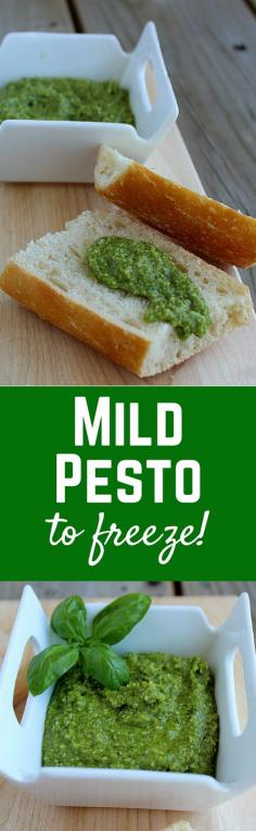 
                    
                        This mild pesto is a great alternative for those who don't love the strong flavor of pesto. It's also great to freeze - so make sure to harvest that basil before it dies! Get the easy recipe on RachelCooks.com!
                    
                