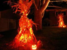 Corn stalks with orange lights inside.