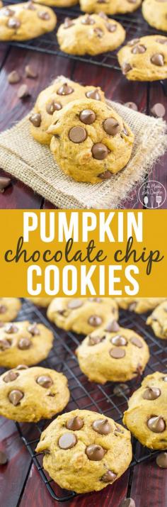 Pumpkin Chocolate Chip Cookies