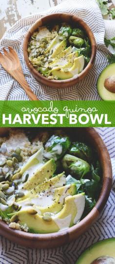 
                    
                        Avocado Quinoa Harvest Bowl aka your new favorite fall recipe
                    
                