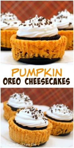 
                    
                        Mini pumpkin cheesecakes sandwiched between an Oreo cookie. These are the perfect fall dessert!
                    
                