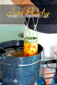 Just Peachy- Canning peaches for beginners