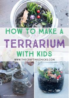 
                    
                        How To Make A Terrarium With Kids
                    
                