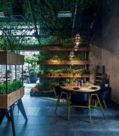 
                    
                        Segev Kitchen Garden by Studio Yaron Tal restaurant design #interior #restaurant #hotspot
                    
                