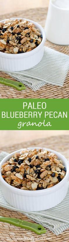 blueberry pecan paleo granola: 1 cup chopped pecans 1 cup sliced almonds ½ cup sunflower seeds ½ cup finely shredded unsweetened coconut ¼ teaspoon sea salt 1 tablespoon ghee or coconut oil, melted 3 tablespoons pure maple syrup ½ cup organic dried blueberries