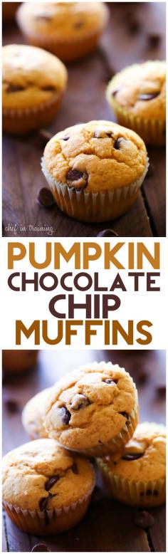 
                    
                        Buttermilk Pumpkin Chocolate Chip Muffins... This is such a delicious fall recipe! Perfectly moist and absolutely tasty!
                    
                