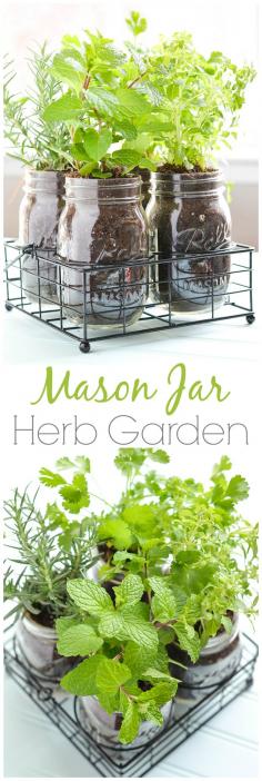 #DIY Mason Jar Herb Garden