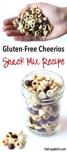 
                    
                        Gluten Free Cheerios Snack Mix Recipe! {mix these tasty ingredients together for yummy grab and go Gluten-Free Snacks! Perfect for Work and School Lunches, this mix uses the new GlutenFreeCheerios! #glutenfree #recipes AD - Recipe at TheFrugalGirls.com
                    
                