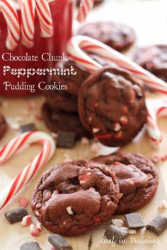 
                    
                        Chocolate Chunk Peppermint Pudding Cookies from chef-in-training.com ... Soft and delicious cookies with the perfect holiday spin!
                    
                