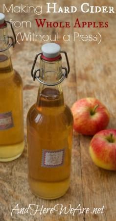 Making hard apple cider without an apple press