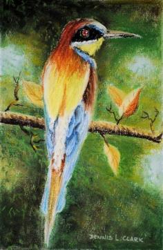 
                    
                        Free Pastel Lesson - How to Draw an European Bee-Eater in Pastel — Online Art Lessons
                    
                