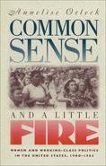 Common Sense and a Little Fire traces the personal and public lives of four immigrant women activists who left a lasting imprint on American politics. Though they have rarely had more than cameo appearances in previous histories, Rose Schneiderman, Fannia Cohn, Clara Lemlich Shavelson, and Pauline Newman played important roles in the emergence of organized labor, the New Deal welfare state, adult education, and the modern women's movement. Orleck takes her four subjects from turbulent, turn-of-the-century Eastern Europe to the radical ferment of New York's Lower East Side and the gaslit tenements where young workers studied together. Drawing from the women's writings and speeches, she paints a compelling picture of housewives' food and rent protests, of grim conditions in the garment shops, of factory-floor friendships that laid the basis for a mass uprising of young women garment workers, and of the impassioned rallies working women organized for suffrage. From that era of rebellion, Orleck charts the rise of a distinctly working-class feminism that fueled poor women's activism and shaped government labor, tenant, and consumer policies through the early 1950s.