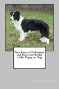 1. The Characteristics of a Border Collie Puppy or Dog 2. Some Helpful Tips for Raising Your Border Collie Puppy 3. What You Should Know About Puppy Teeth 4. How to Crate Train Your Border Collie 5. When Your Border Collie Makes Potty Mistakes 6. How to Teach your Border Collie to Fetch 7. Make it Easier and Healthier for Feeding Your Border Collie 8. When Your Border Collie Has Separation Anxiety, and How to Deal With It 9. When Your Border Collie Is Afraid of Loud Noises 10. How to Stop Your Border Collie From Jumping Up On People 11. How to Build A Whelping Box for a Border Collie or Any Other Breed of Dog 12. How to Teach Your Border Collie to Sit 13. Why Your Border Collie Needs a Good Soft Bed to Sleep In 14. How to Stop Your Border Collie From Running Away or Bolting Out the Door 15. Some Helpful Tips for Raising Your Border Collie Puppy 16. How to Socialize Your Border Collie Puppy 17. How to Stop Your Border Collie Dog From Excessive Barking 18. When Your Border Collie Has Dog Food or Toy Aggression Tendencies 19. What you Should Know about Fleas and Ticks 20. How to Stop Your Border Collie Puppy or Dog From Biting 21. What to Expect Before and During your Dog Having Puppies 22. What the Benefits of Micro chipping Your Dog Are to You 23. How to Get Something Out of a Puppy or Dog's Belly Without Surgery 24. How to Clean Your Border Collies Ears Correctly 25. How to Stop Your Border Collie From Eating Their Own Stools 26. How Invisible Fencing Typically Works to Train and Protect Your Dog 27. Some Items You Should Never Let Your Puppy or Dog Eat 28. How to Make Sure Your Dog is Eating A Healthy Amount of Food 29. Make it Easier and Healthier for Feeding Your Border Collie 30. How to Clean and Groom your Border Collie 31. How to Trim a Puppy or Dogs Nails Properly 32. The 5 Different Kinds of Worms that can Harm your Dog 33. How to Deworm your Border Collie for Good Health.
