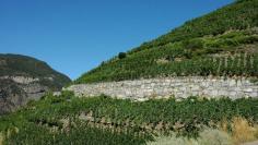 Heida Village and Europe's Highest Vineyard | Switzerland Tourism