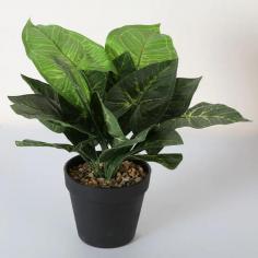 https://www.artificial-pant-factory.com/product/artificial-plants-grasses/artificial-potted-plants/
Artificial Potted Plants Are Commonly Used As A Decorative Element In Homes, Offices, And Other Indoor Spaces. They Require Very Little Maintenance, Do Not Require Watering Or Fertilization, And Can Be Easily Cleaned With A Damp Cloth. 